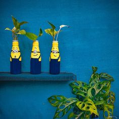 three yellow and blue bottles with plants in them