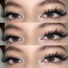 Lash Maps, Natural Fake Eyelashes, Lashes Fake Eyelashes, Cat Eye Lash, Eyelash Extensions Styles, Perfect Eyelashes, Pretty Lashes, Eyelash Extentions, Ethereal Makeup