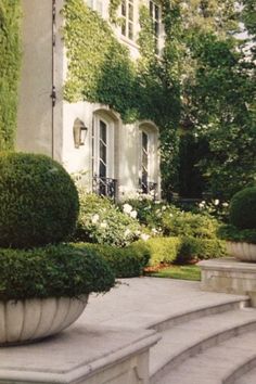 an outdoor garden with stone steps and large potted plants in front of the house