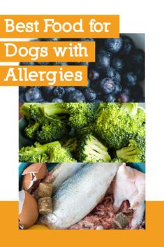 the best food for dogs with allergies is broccoli, fish and eggs