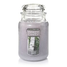 yankee candle in a glass jar with silver birch tree on the front and white background