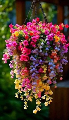 a hanging basket filled with lots of colorful flowers