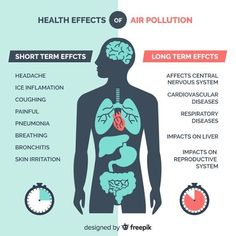 the health effects of air pollution are shown in this graphic above it is an image of a man's body and lungs