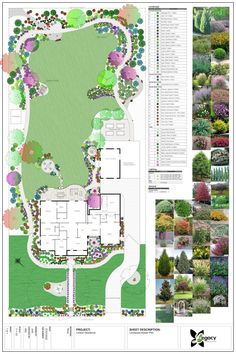 a plan for a garden with lots of trees and shrubs