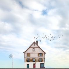 a house with birds flying over it