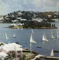 sailboats are sailing on the water near houses