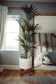 a potted plant sitting on top of a wooden table next to a bed in a bedroom