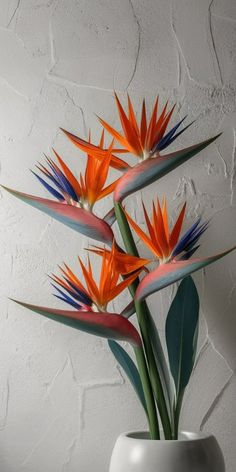 three orange and blue flowers in a white vase