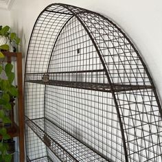 a metal birdcage sitting on top of a wooden shelf next to a potted plant