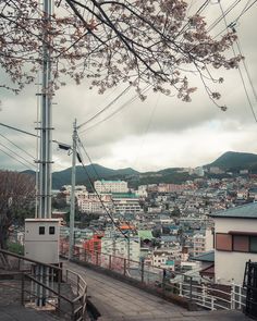 a city with lots of tall buildings and power lines above the trees in front of them