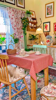 a cat sitting at a table in a room with many pictures on the wall behind it