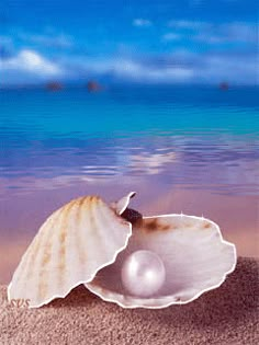 an image of a seashell with a pearl in it on the sand at the beach