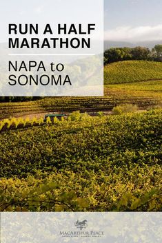 a book cover with the words run a half marathon napa to sonoma on it