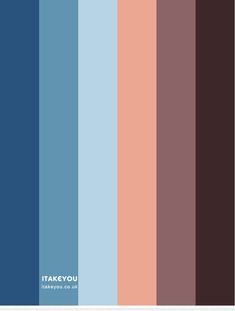 the color palette for takeyou is blue, brown and pink with an orange stripe