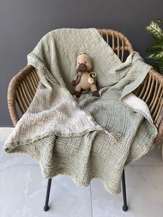 a teddy bear sitting on top of a wicker chair under a blanket in front of a potted plant