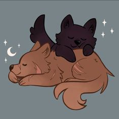 a cat and dog laying on top of each other with stars in the sky behind them