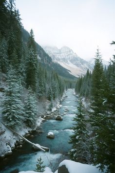 a river running through a forest covered in snow next to tall pine trees and mountains