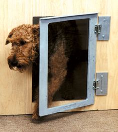 a dog is looking through the door to get into his kennel for its owner