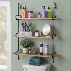 three shelves with various items on them against a wall in a bathroom, next to a toilet and potted plant