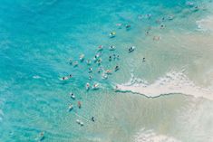 an aerial view of people swimming in the ocean