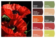 red flowers with green leaves in the background and color swatches for each one to choose from