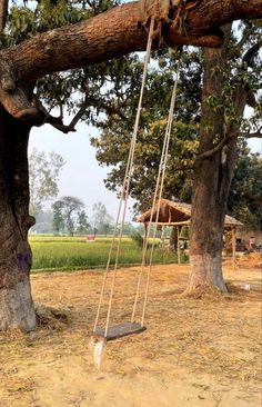 a swing that is hanging from a tree