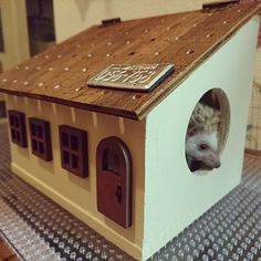 a toy house with a small animal in it