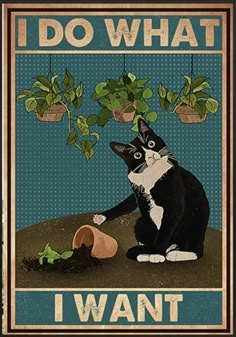 a black and white cat sitting on the ground next to a potted plant that says i do what i want