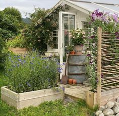 a garden with flowers and plants growing in it