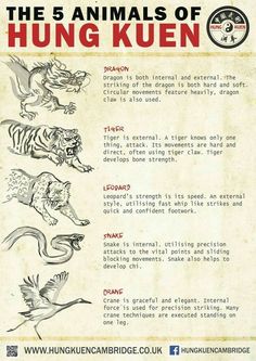 the five animals of hung kuen