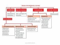 Endocrine Pharmacology, Nurses Notes, Angina Pectoris, Student Info, Mast Cell, Nursing Notes, Critical Care