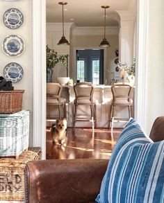 a dog sitting on the floor in a living room next to a table and chairs