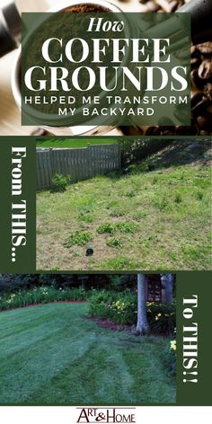 the front cover of coffee grounds help me transform my backyard