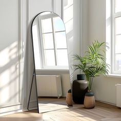 a large mirror sitting on top of a wooden floor next to a potted plant