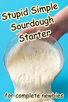 How To Make Sourdough Starter With Yeast, Sourdough Beginner, Quick Sourdough Starter Recipe, Sourdough Starter And Bread Recipe, What Do I Do With Sour Dough Starter, 1 Day Sourdough Starter, How To Make A Bread Starter