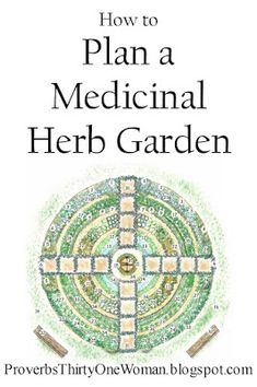 a book cover with the title how to plan a medical herb garden written on it