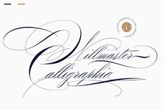 an artistic calligraphy font that is used to spell out the word's name