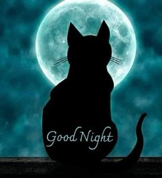 a black cat sitting in front of a full moon with the words good night written on it