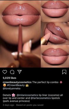 Lip Combo For Light Brown Skin, Mauve Lip Combo, Nude Lip Combos For Light Skin, Pink Nude Lip Combo, Brown And Pink Lip Combo, Light Pink And Brown Lip Combo, Glossy Lips Makeup, Lip Contouring