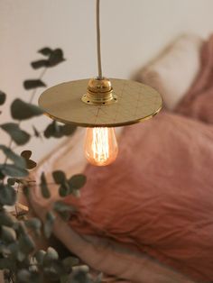 a light that is hanging from a ceiling in a room with plants and a bed