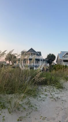 houses on the beach with tall grass in front