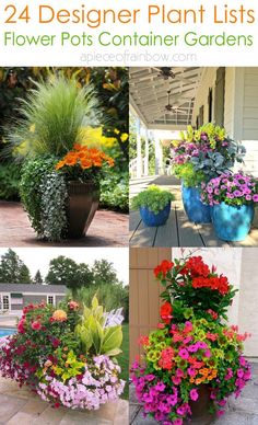 four different flower pots with flowers in them and the words, 24 designer plant lists