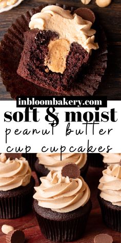 chocolate cupcakes with peanut butter frosting on top and the words, soft & moist