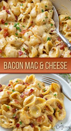 bacon mac and cheese with tiny shell pasta Mac And Cheese With Peas And Bacon, Cheesy Bacon Pasta Recipes, Thanksgiving Dinner Mac And Cheese, Macaroni Bacon And Cheese, Bacon And Mac And Cheese, Maple Bacon Mac And Cheese, Mac N Cheese With Bacon Recipe, Instant Pot Bacon Mac And Cheese, Easy Bacon Mac And Cheese Recipe