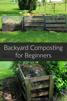 composting tips for beginners