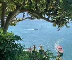 boats are floating on the water near some trees and bushes in front of a large body of water