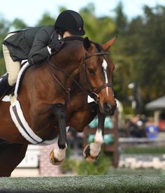 a person riding on the back of a brown horse