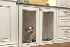 a dog is sitting in the door to his kennel