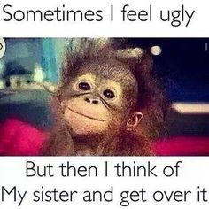 a monkey with the caption saying, sometimes i feel ugly but then i think of my sister and get over it