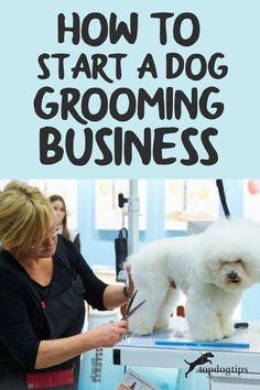 a woman cutting a dog's hair with scissors in front of her and the words how to start a dog grooming business